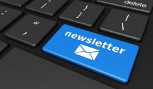 newsletter efectiva